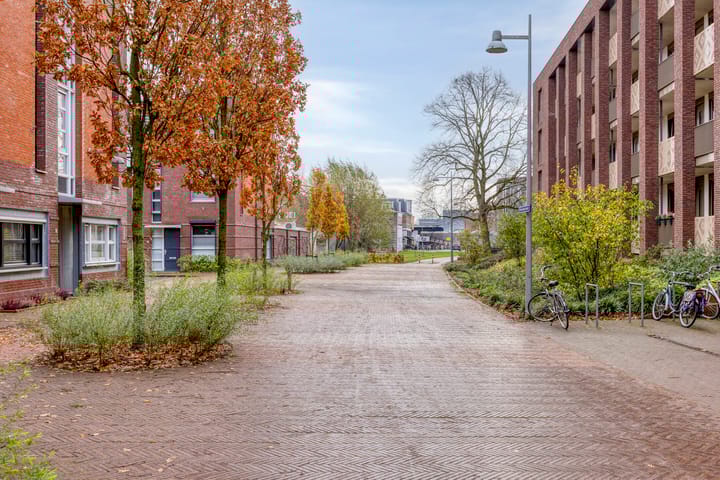 Photo 35 of Koningsloper 20