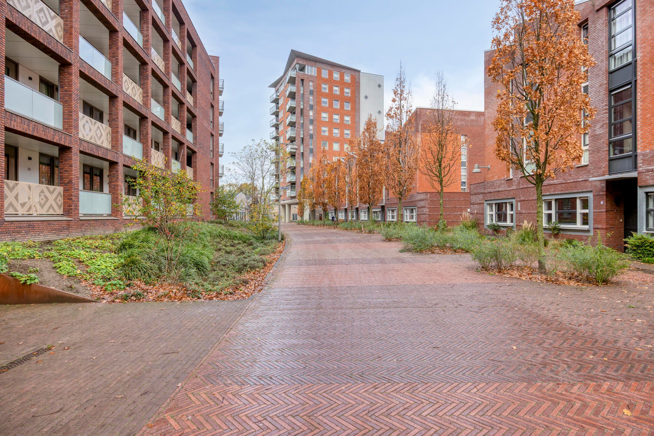 Photo 36 of Koningsloper 20