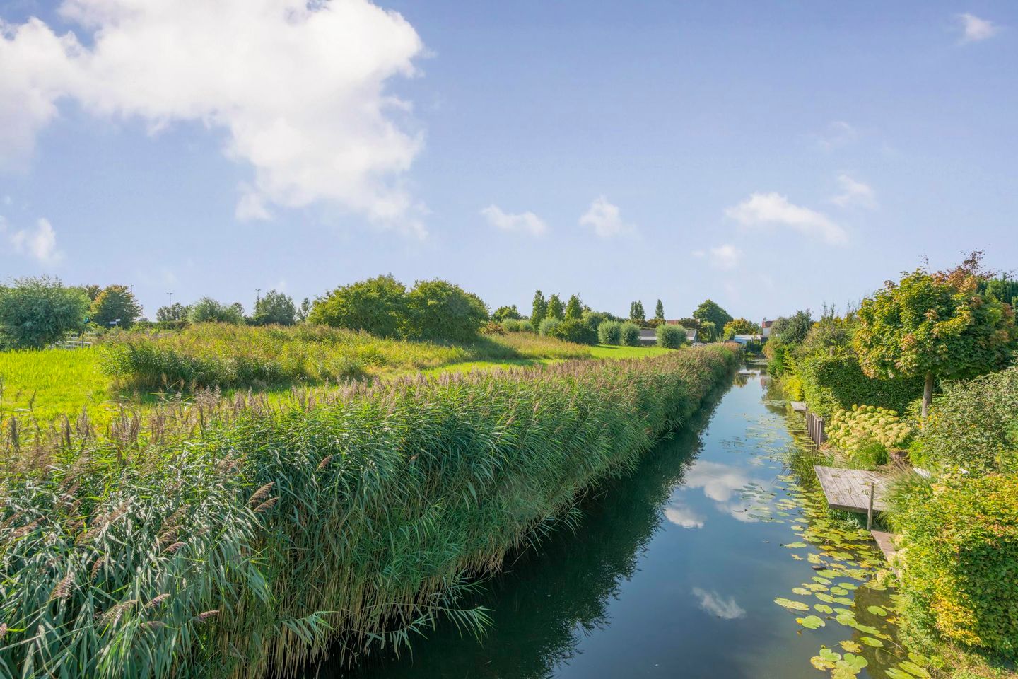 Foto 40 van Copierstraat 50