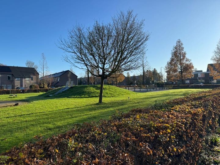 Foto 42 van Papiermolen 17