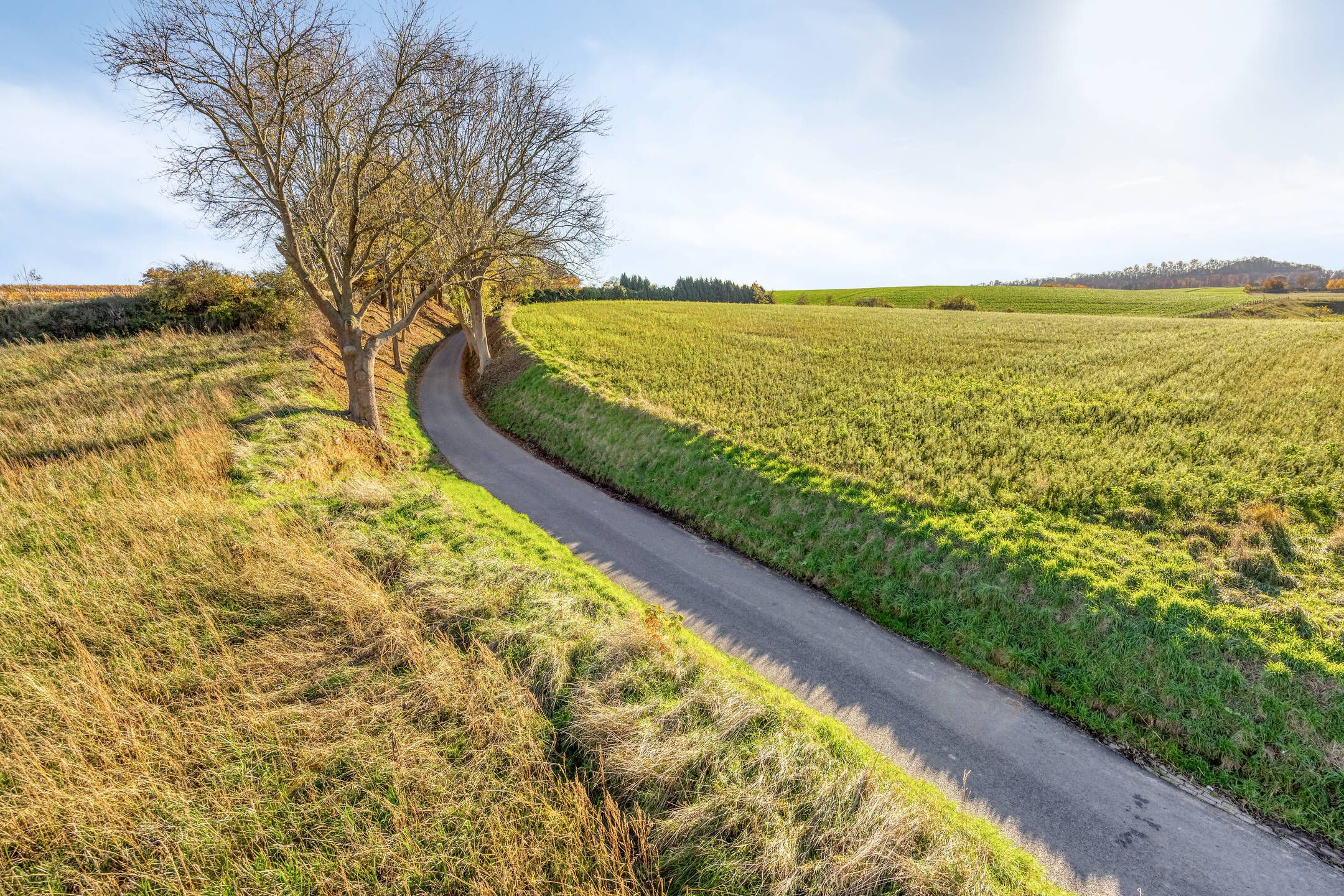 Foto 3 van Pletzersstraat 29-A