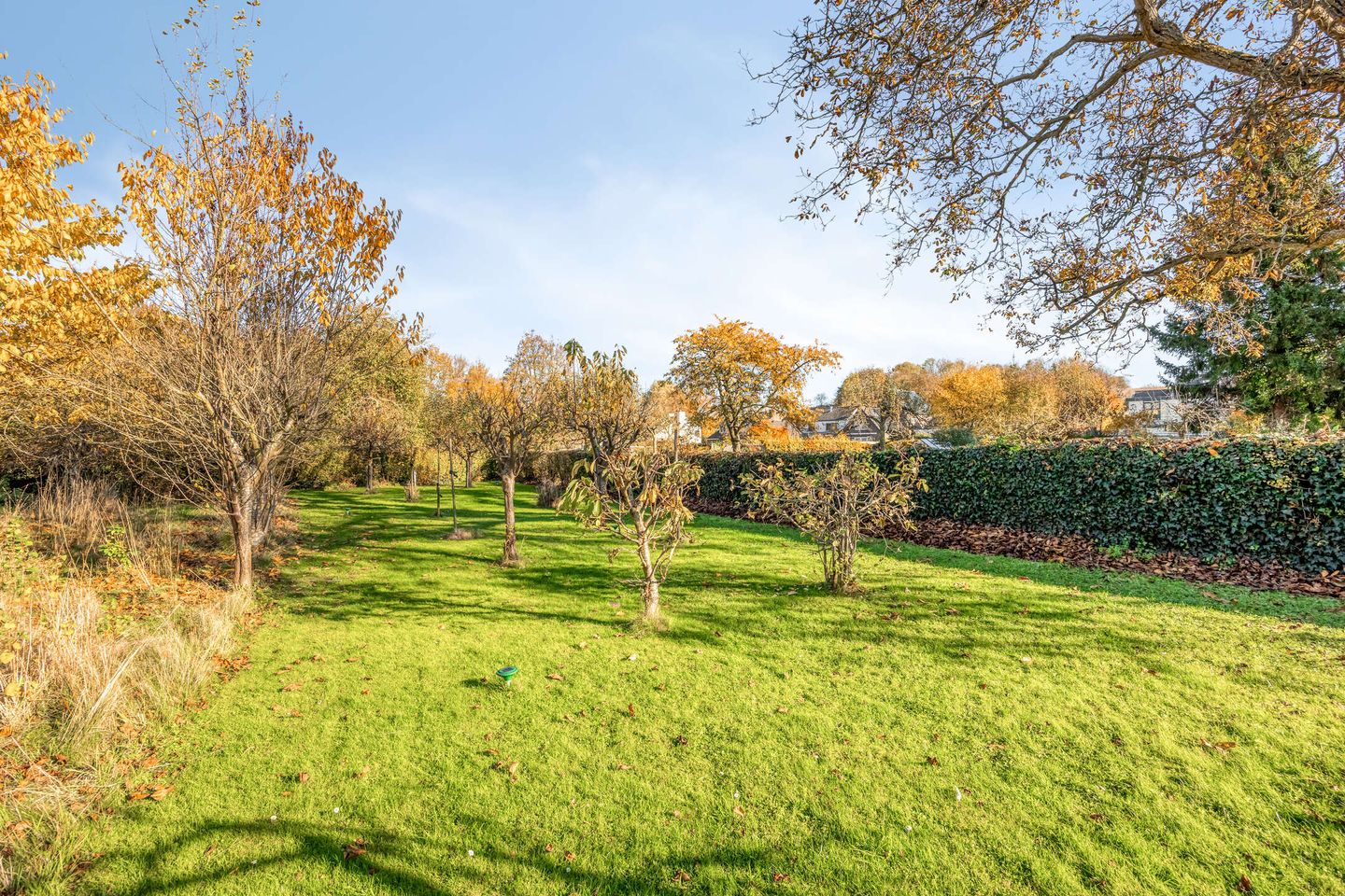 Foto 20 van Pletzersstraat 29-A