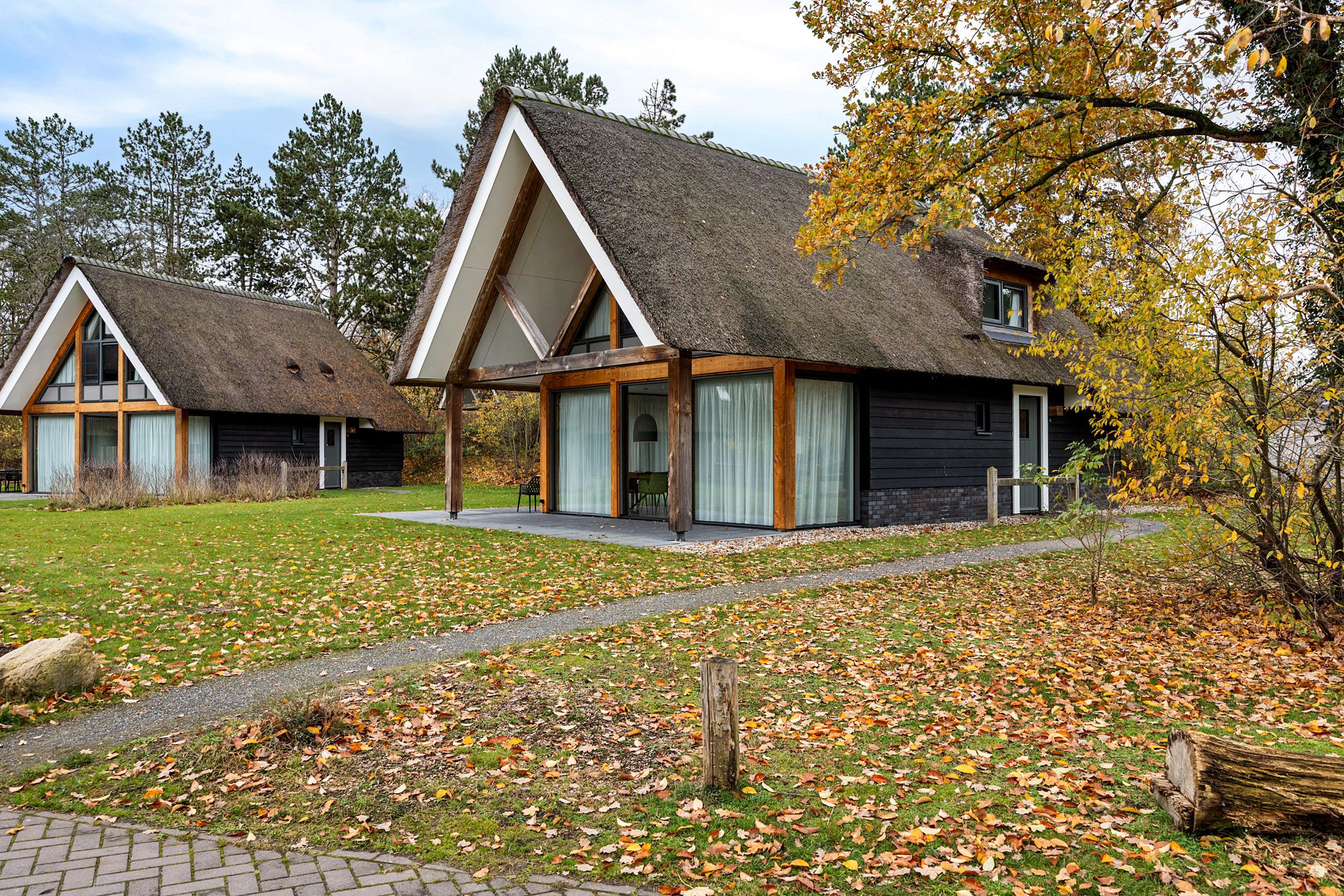 4-bedroom freehold villa in Exloo — photo 4 of 5