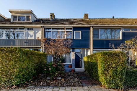 undefined main image