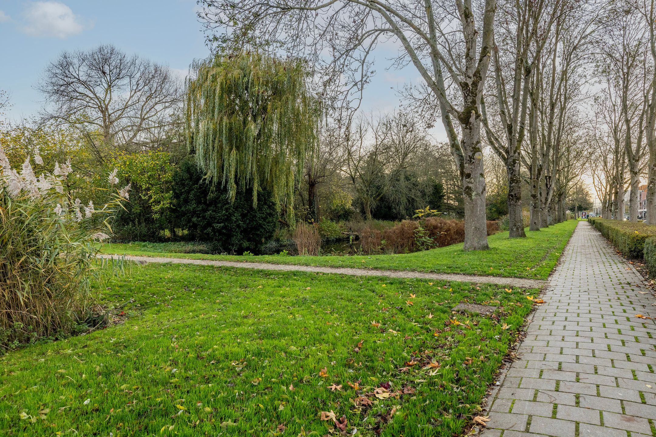 Foto 33 van Parkzoom 36