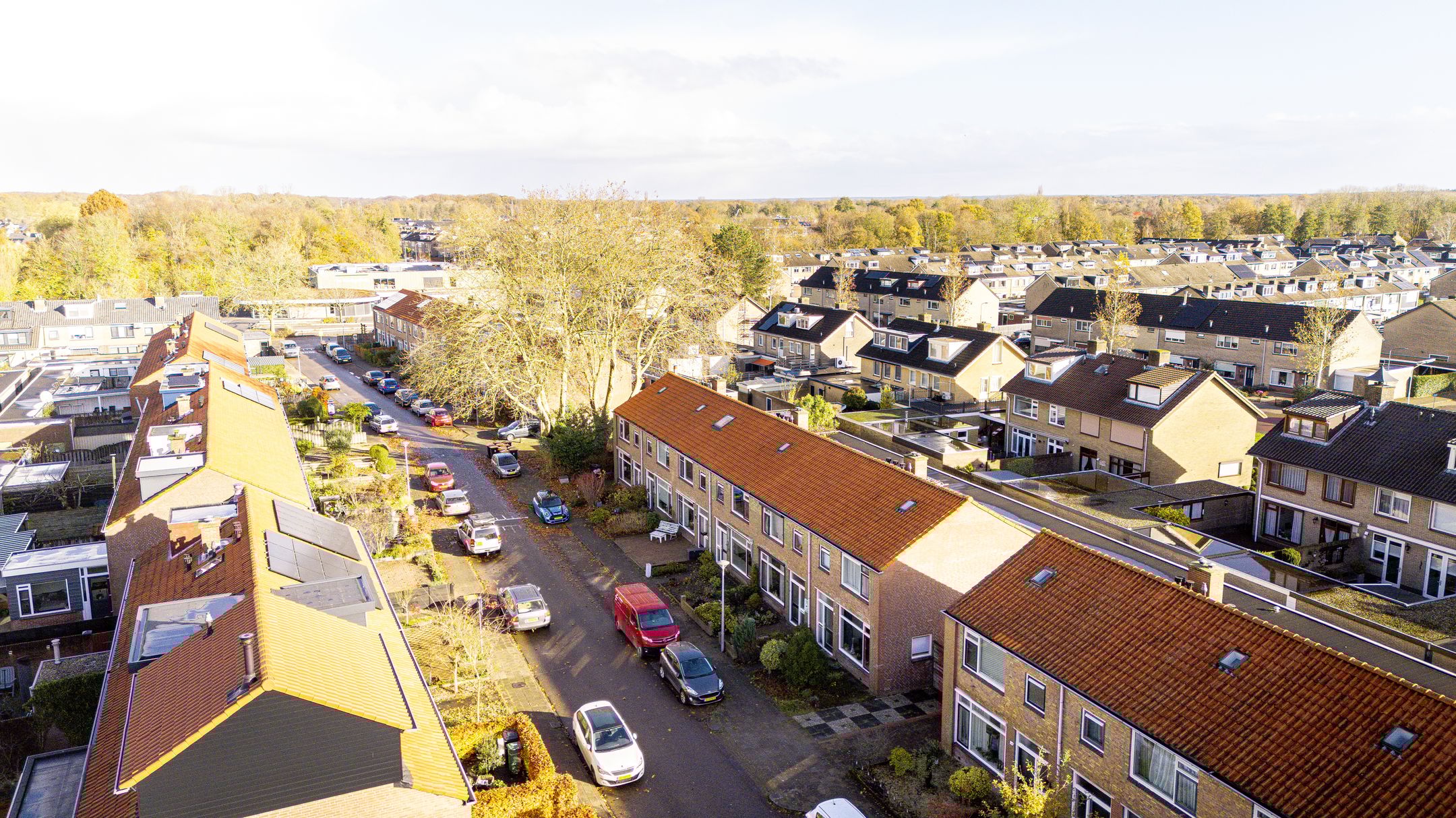 Foto 33 van Platanenlaan 26