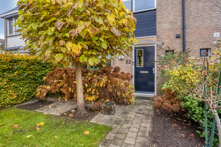 Foto 41 van Beukenlaan 22