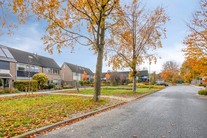 Foto 44 van Beukenlaan 22