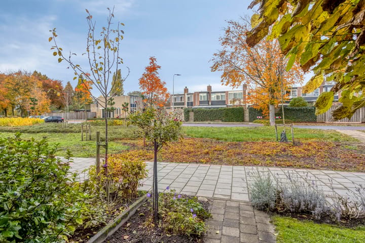 Foto 45 van Beukenlaan 22