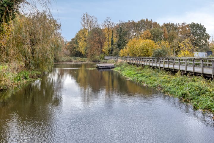 Foto 46 van Beukenlaan 22