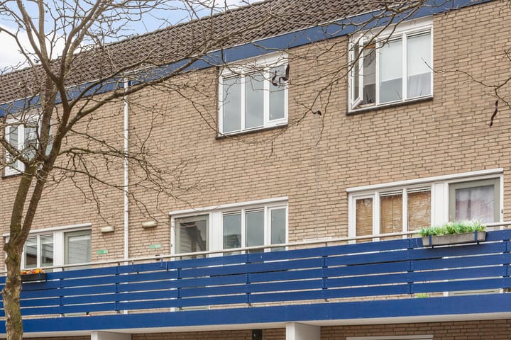 Photo 3 of Antilopespoor 510