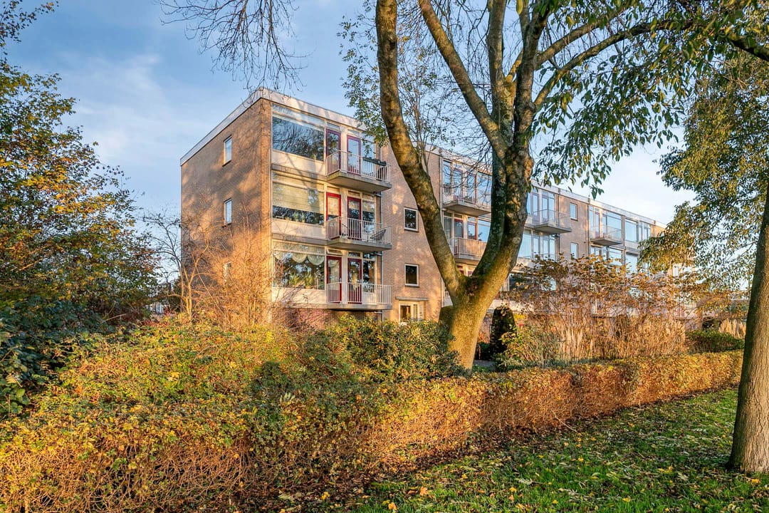 Foto 1 van Wilgenoord 109