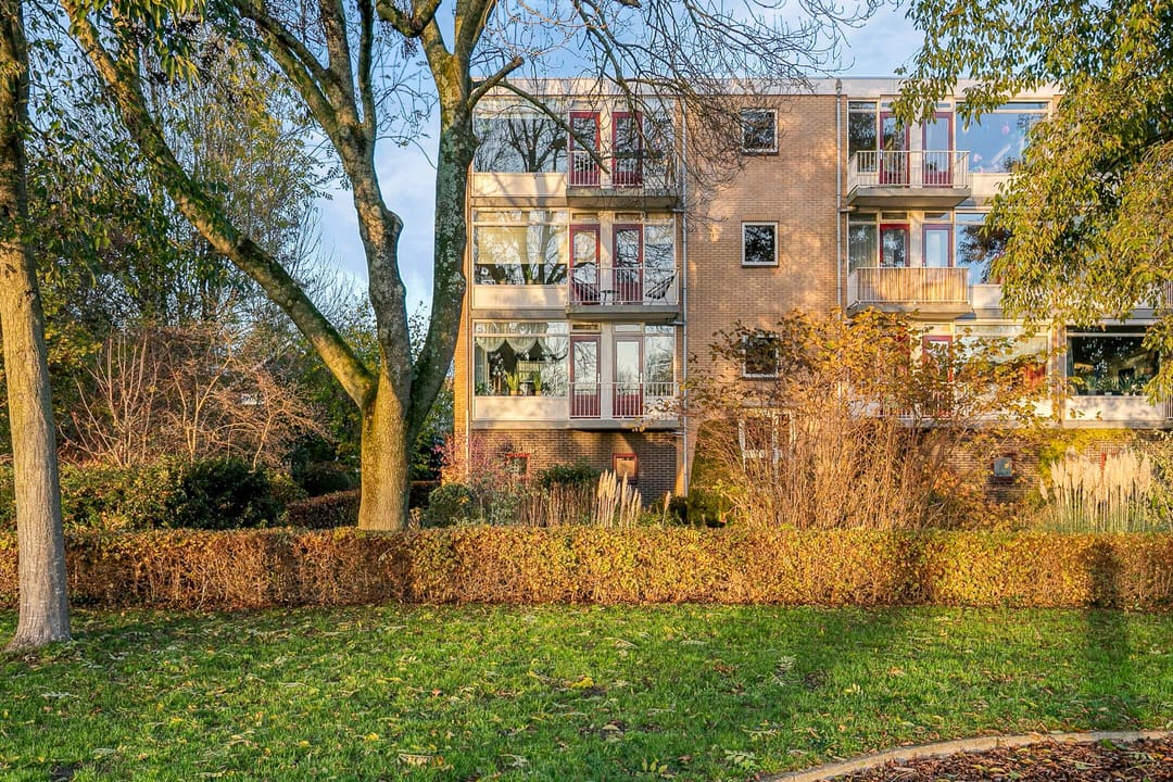 Foto 2 van Wilgenoord 109