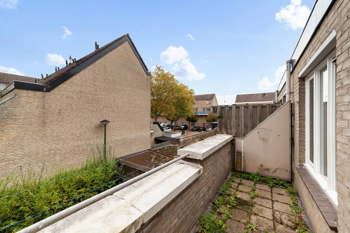 Photo 8 of Antilopespoor 510