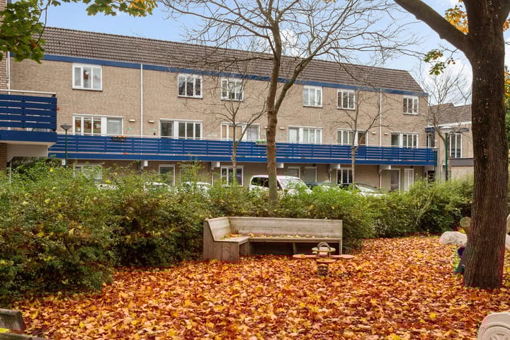 Photo 22 of Antilopespoor 510