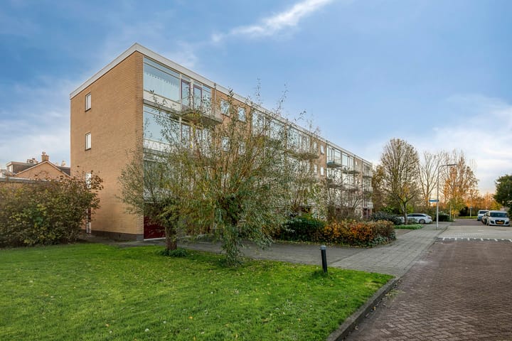 Photo 31 of Wilgenoord 109