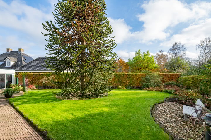 Foto 5 van Hofstraat 4