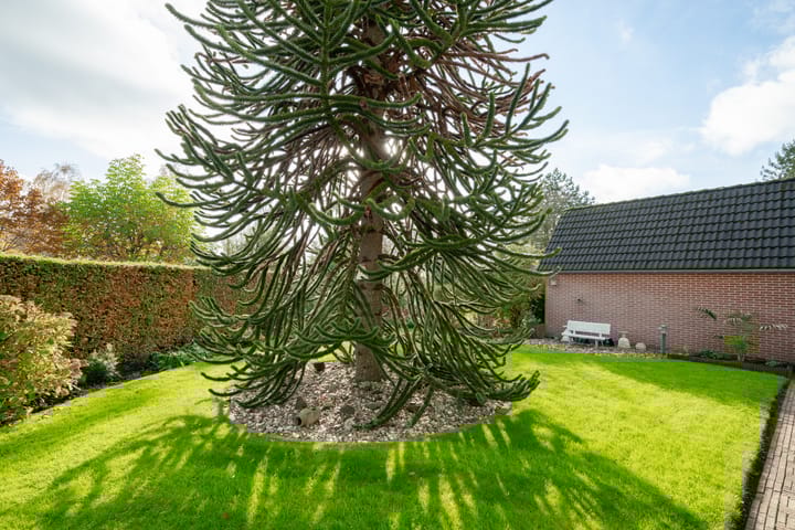 Foto 48 van Hofstraat 4