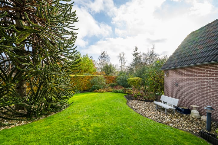 Foto 49 van Hofstraat 4