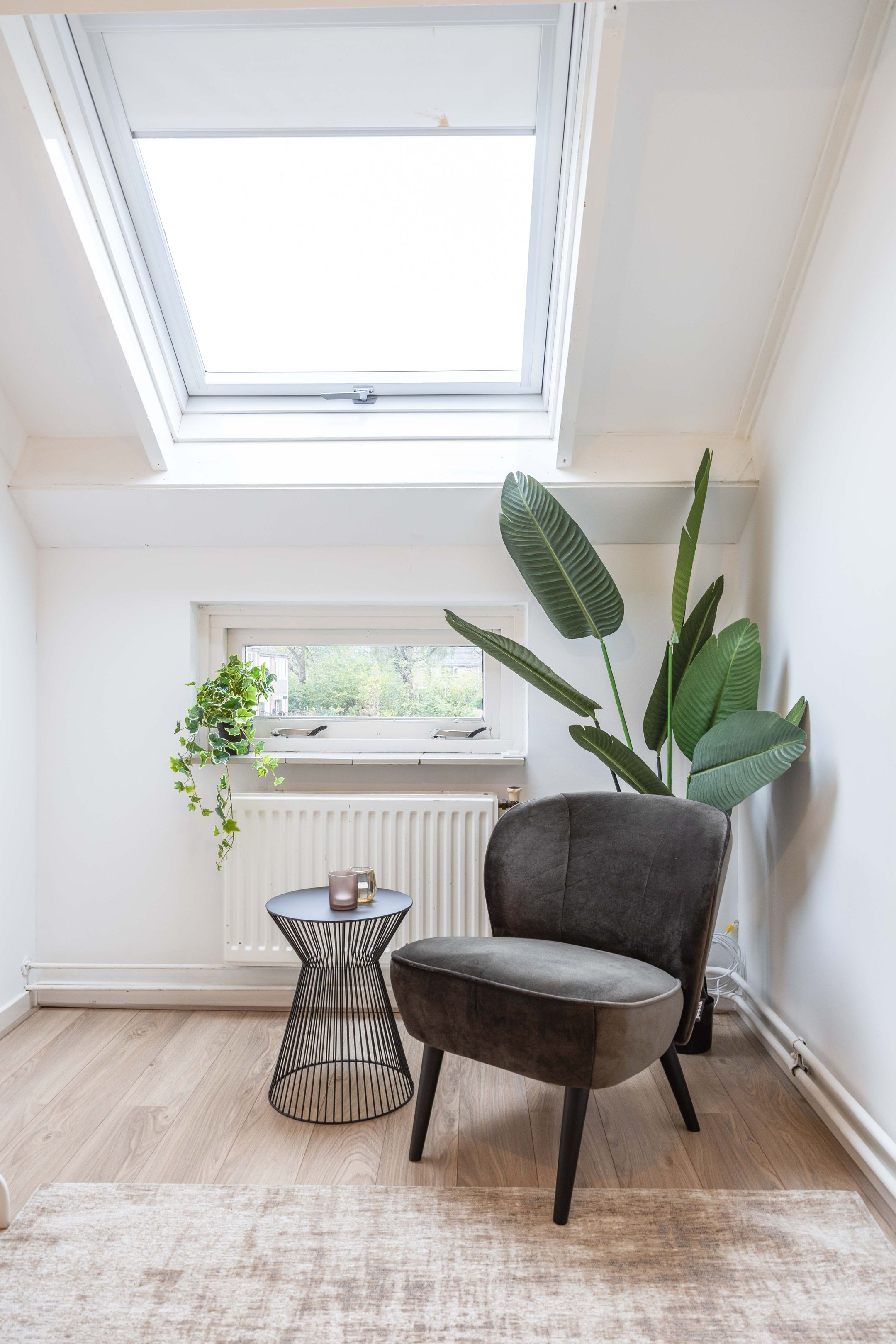 Foto 27 van Schelfhoutstraat 46