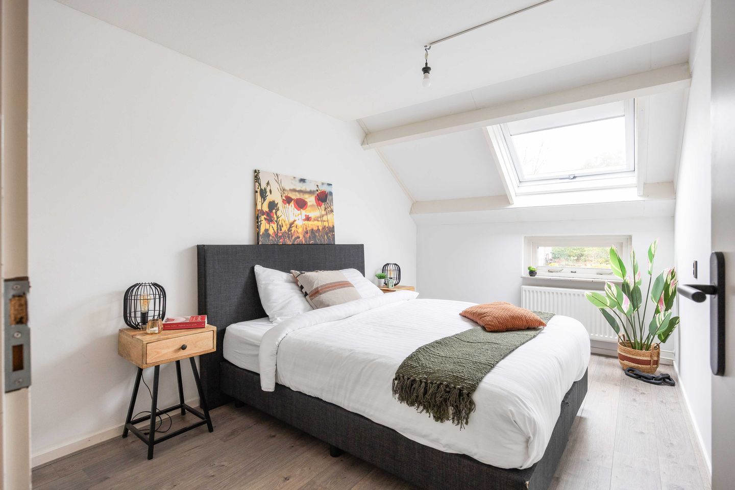 Foto 29 van Schelfhoutstraat 46