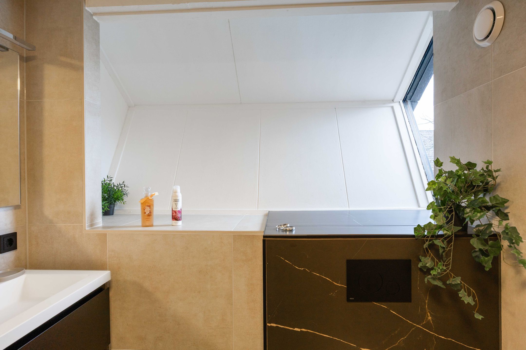 Foto 39 van Schelfhoutstraat 46