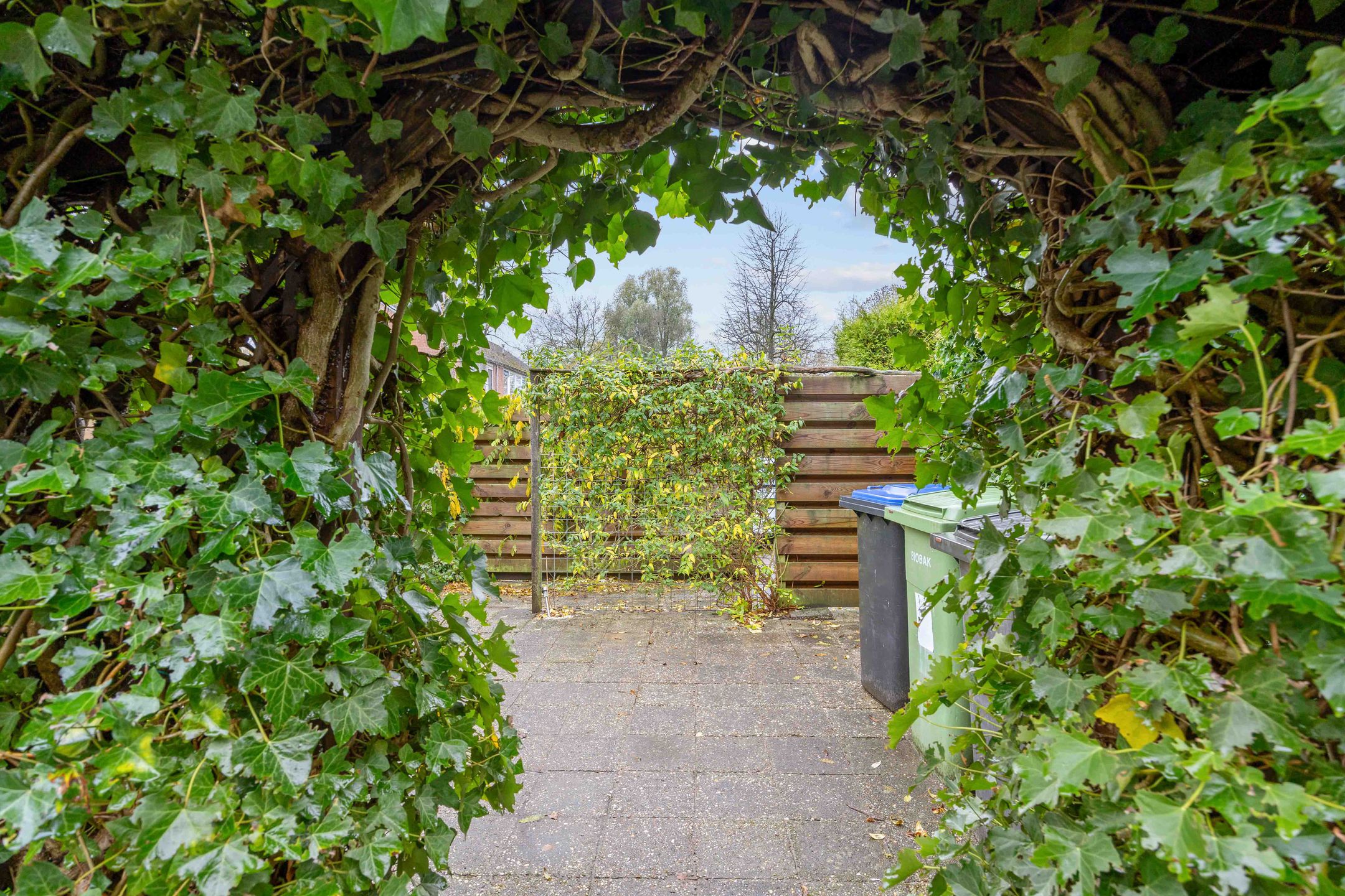 Foto 45 van Schelfhoutstraat 46