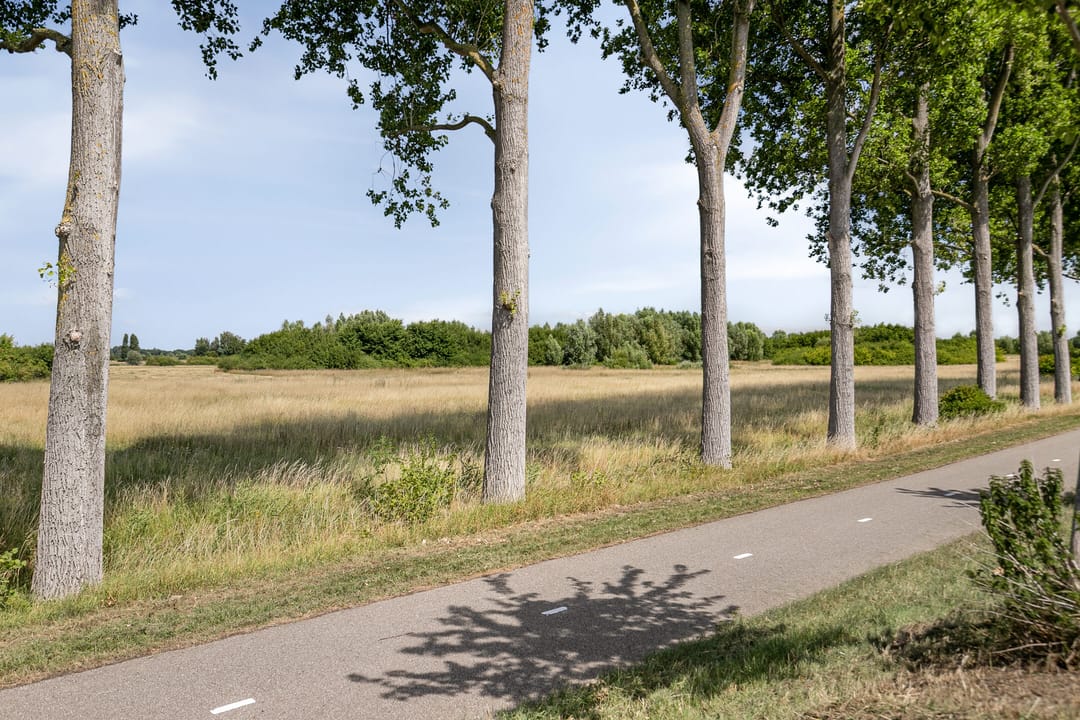 Foto 28 van Schelpenlaan 37