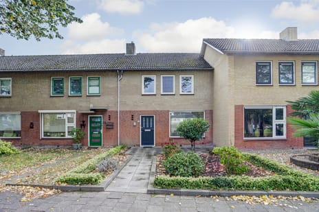 undefined main image