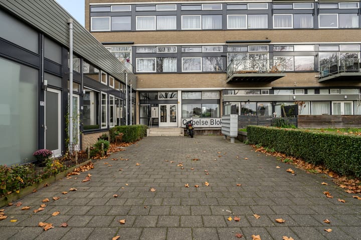 Photo 11 of P C Boutenssingel 99