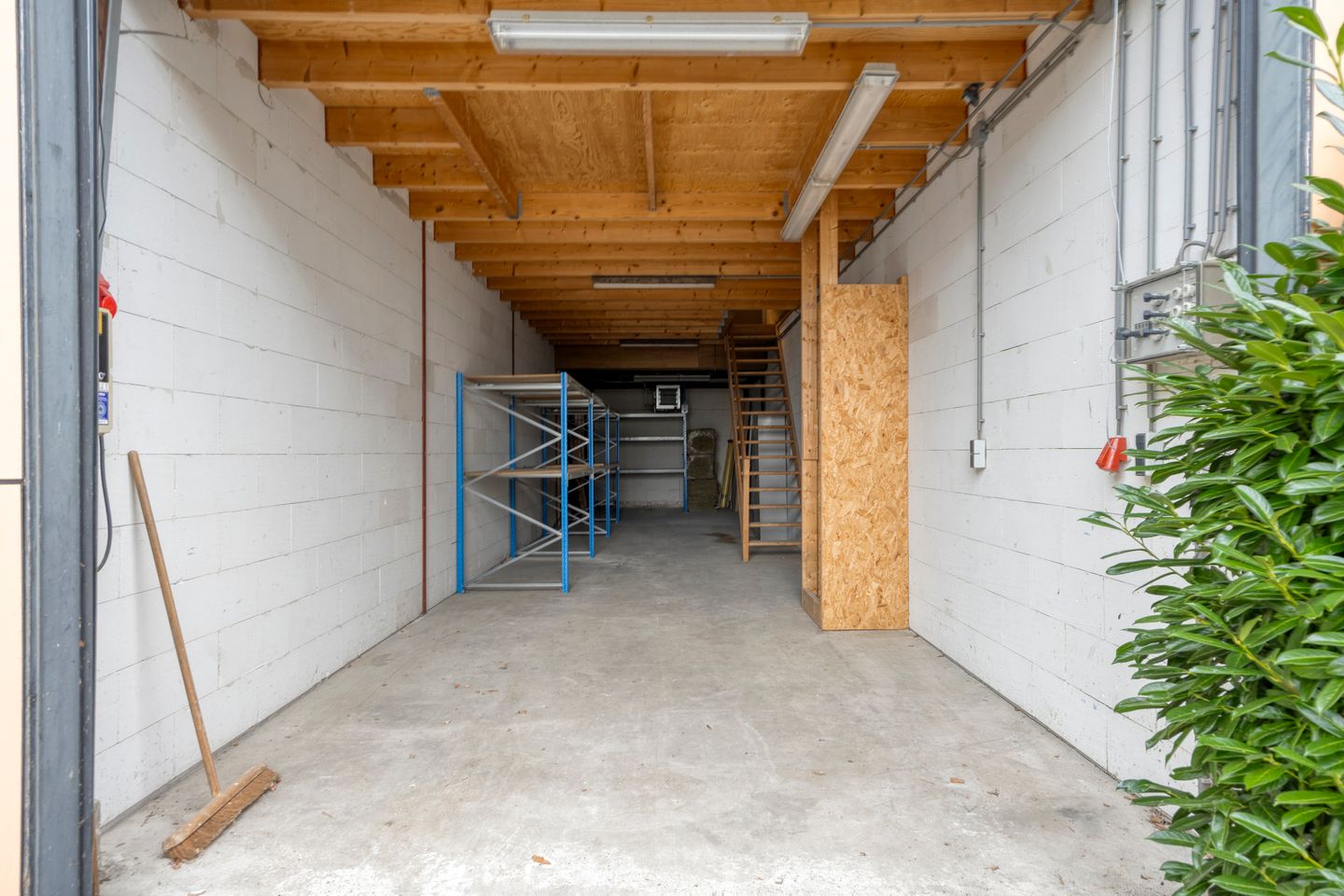 Bekijk foto 4 van Willeskop 210