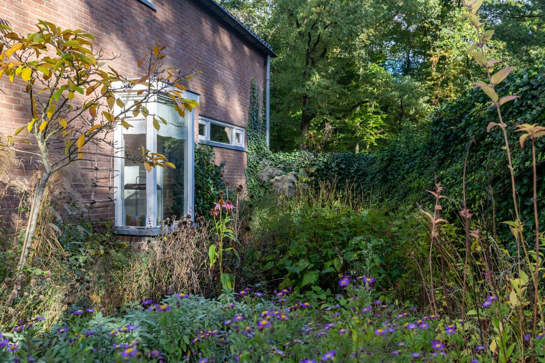 Photo 32 of Kemperbergerweg 157