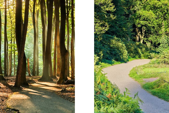 Foto 40 van Kemperbergerweg 157