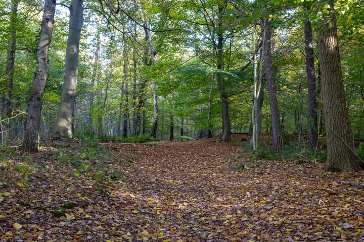 Foto 41 van Kemperbergerweg 157