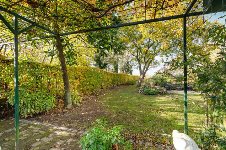 Foto 36 van Elsteren 9