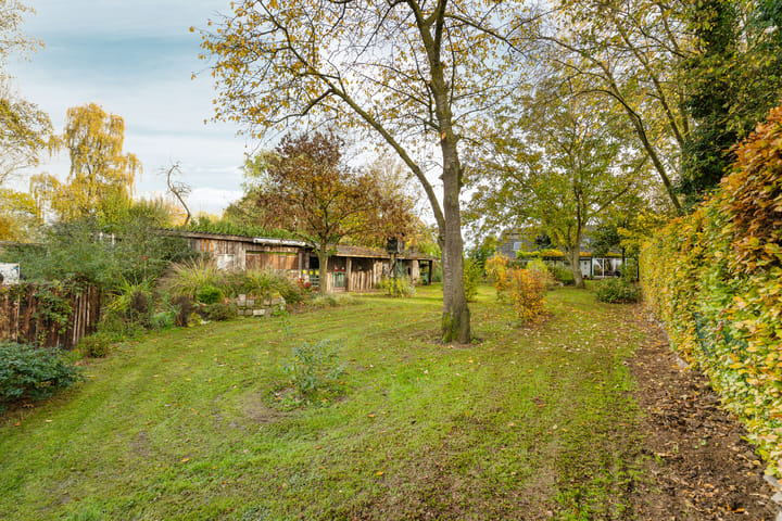 Foto 40 van Elsteren 9