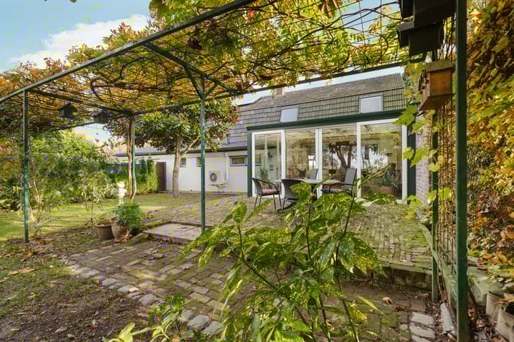 Foto 42 van Elsteren 9