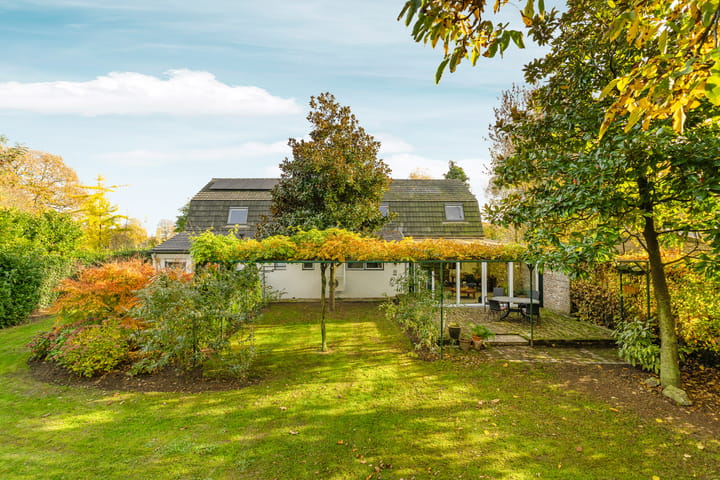 Foto 43 van Elsteren 9