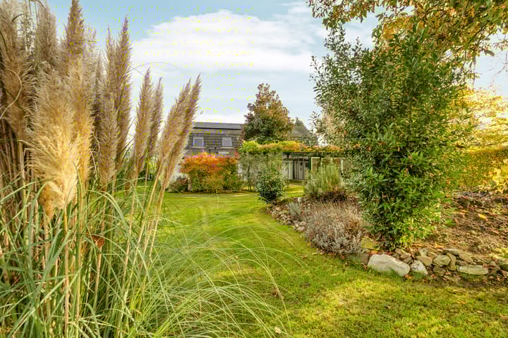 Foto 44 van Elsteren 9