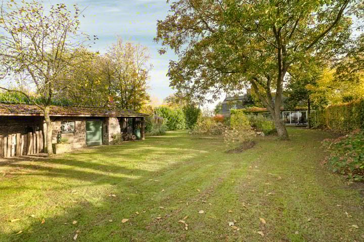 Foto 45 van Elsteren 9