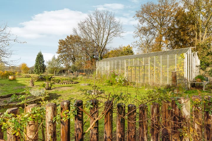 Foto 46 van Elsteren 9