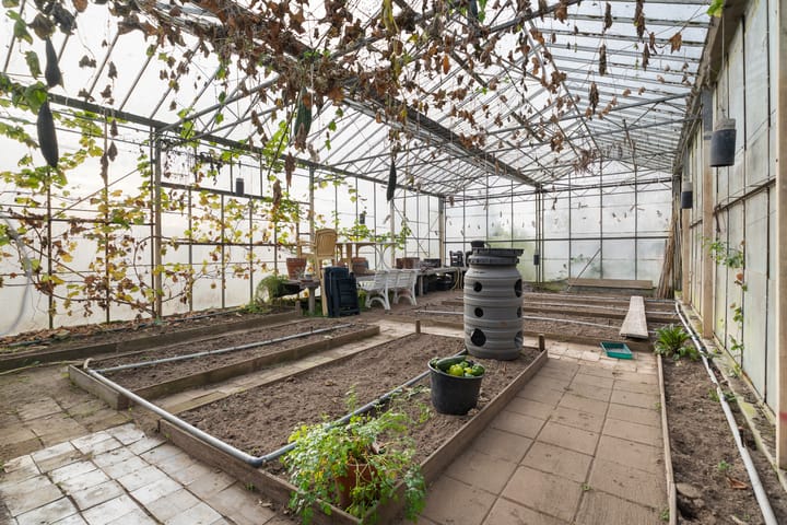 Foto 47 van Elsteren 9