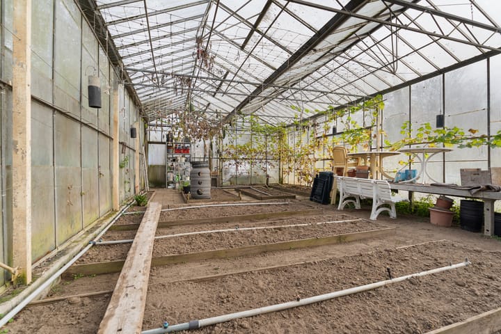 Foto 48 van Elsteren 9