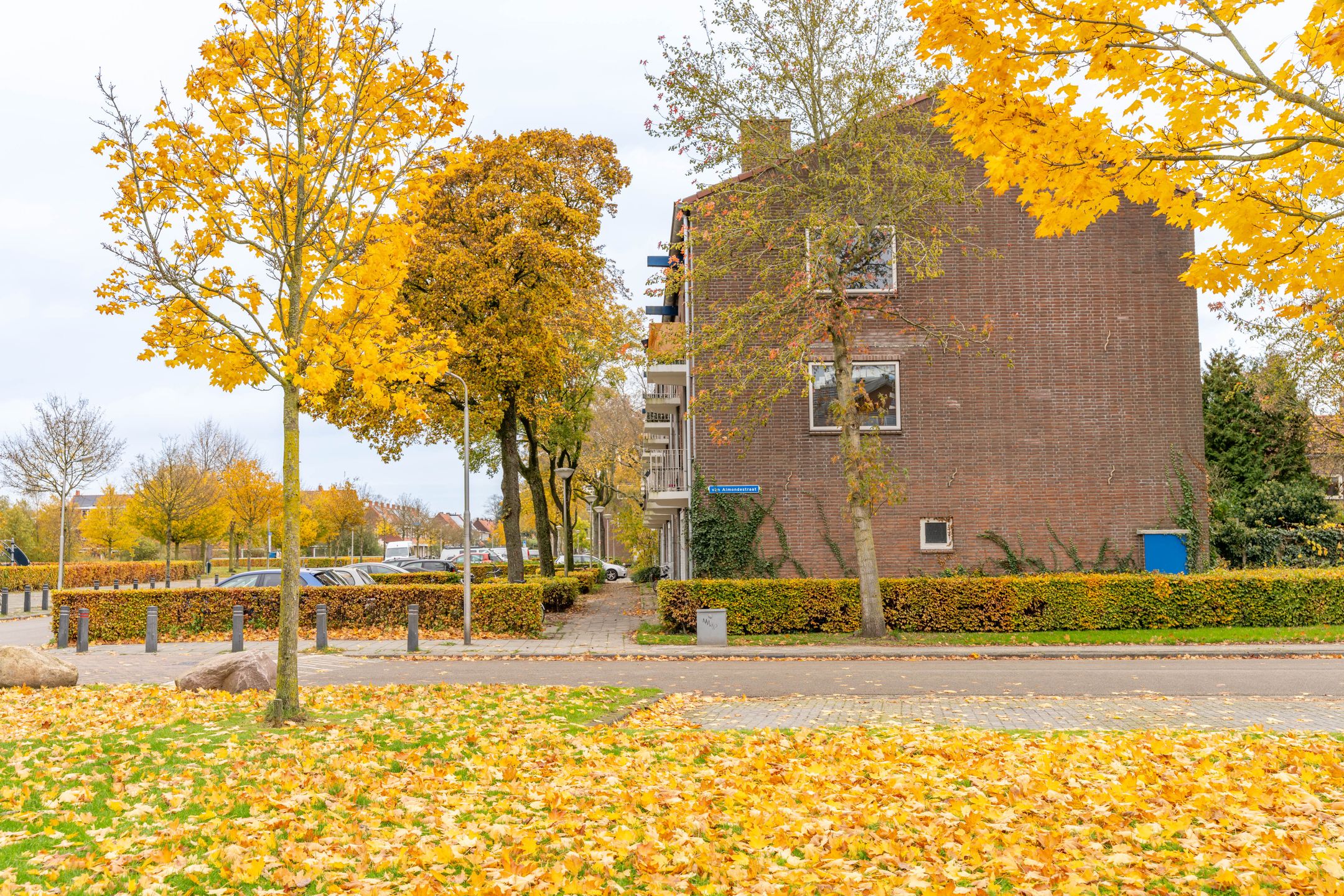 Foto 24 van Evertsenstraat 3-C