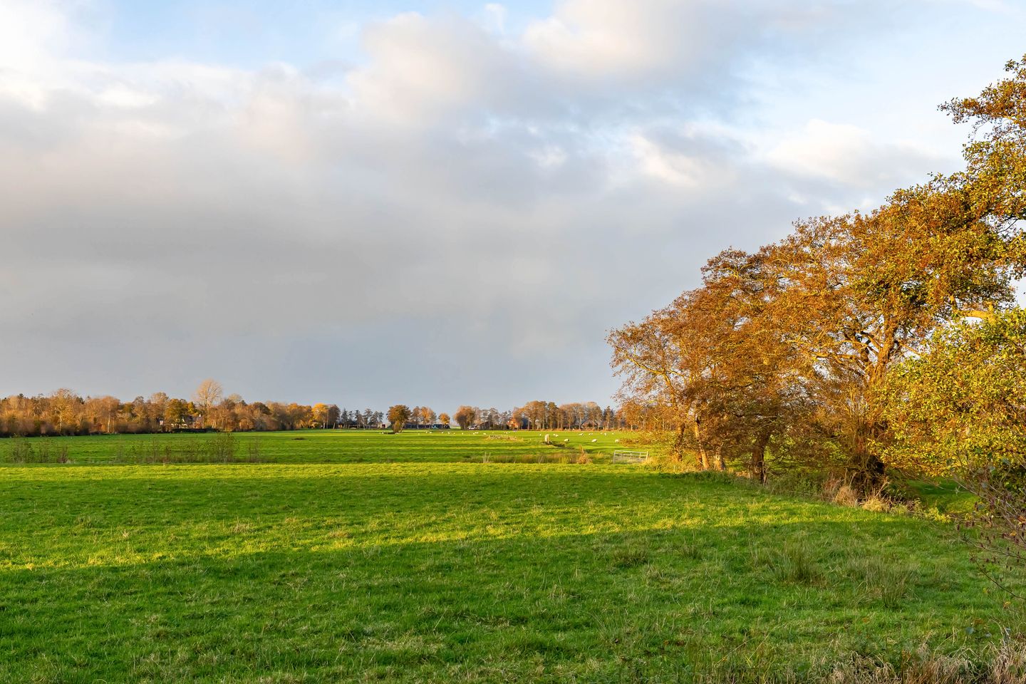 Foto 50 van Oldekerkermeer 12