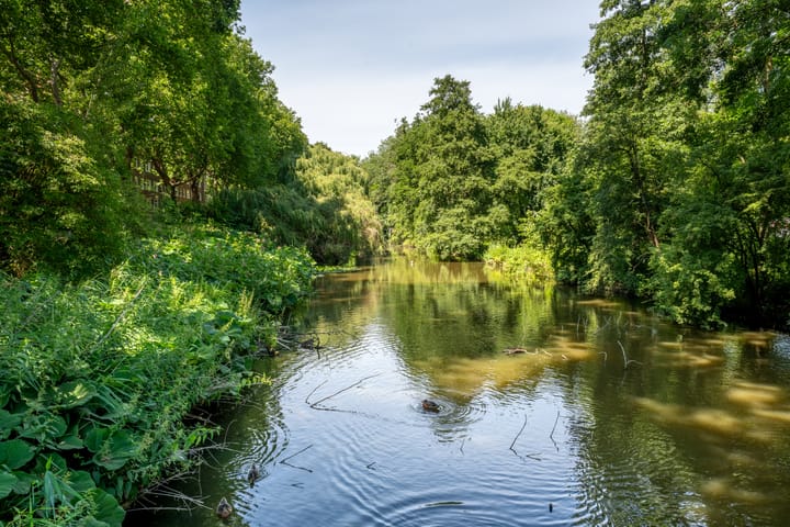 Photo 33 of Hoofdweg 455-2