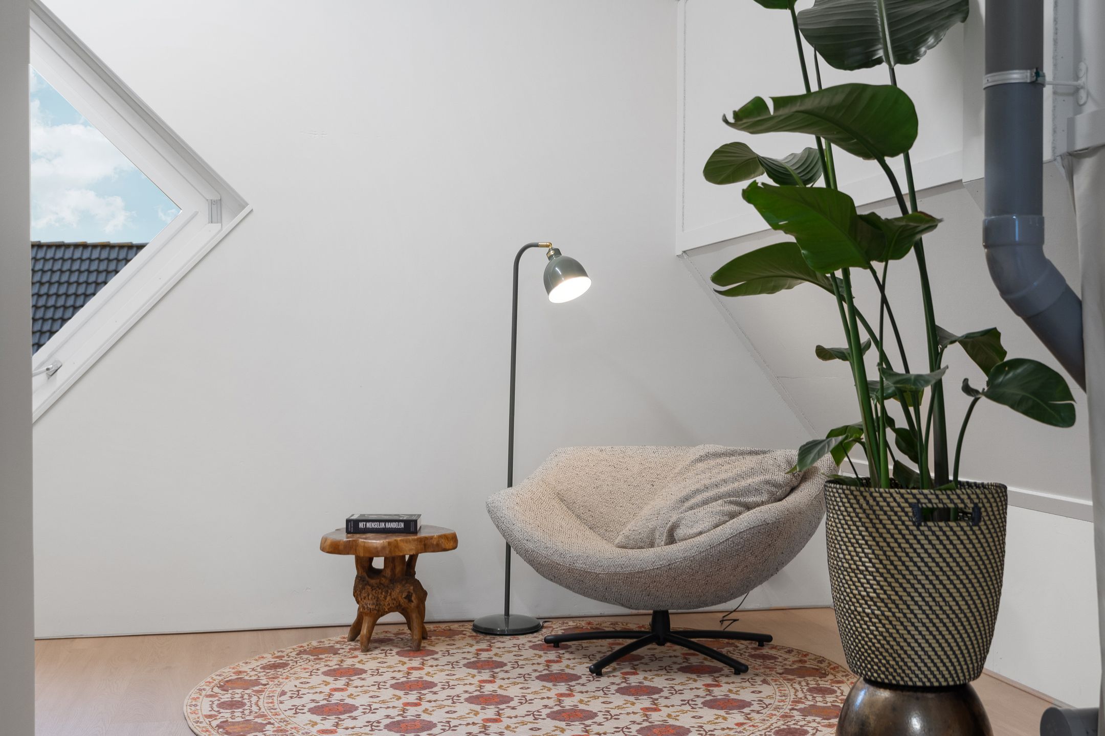 Foto 45 van Omloop 5