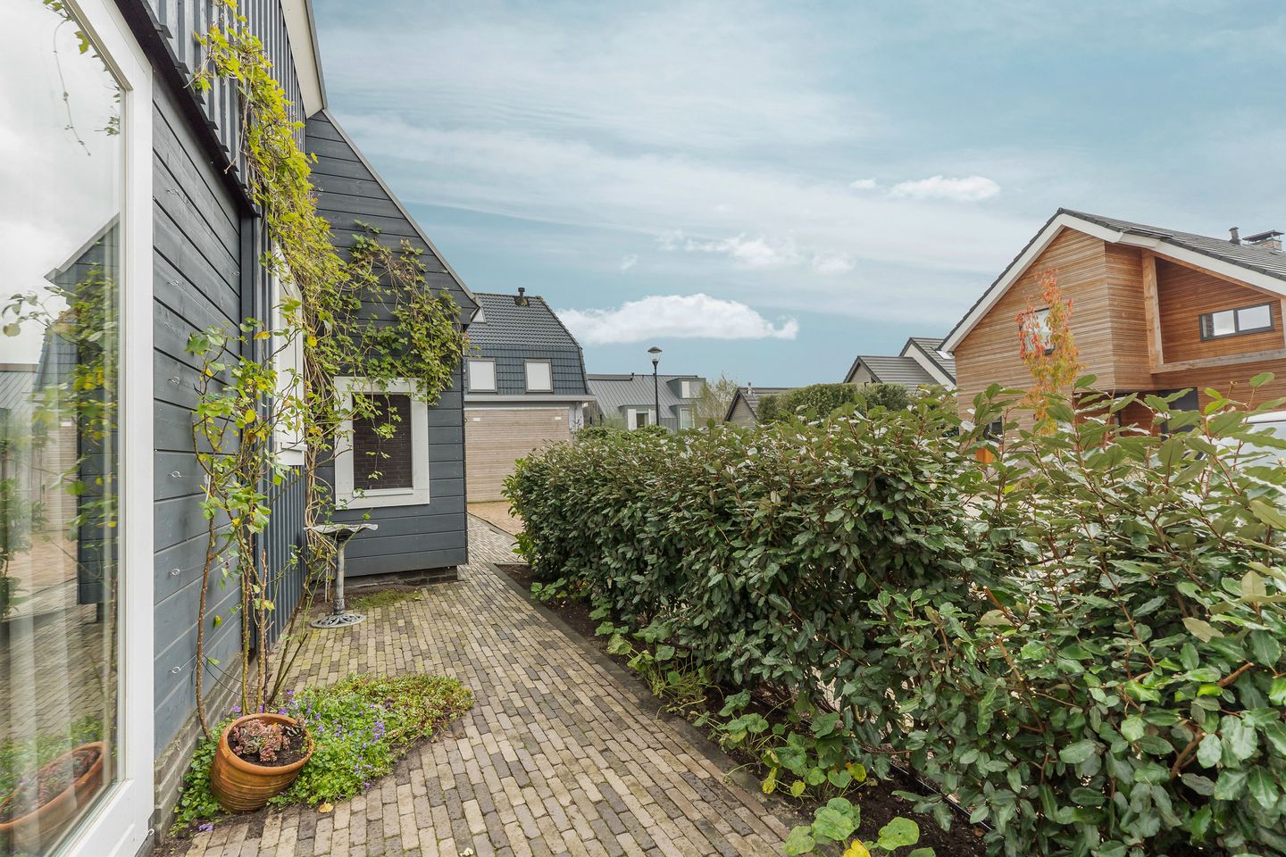 Foto 59 van Omloop 5