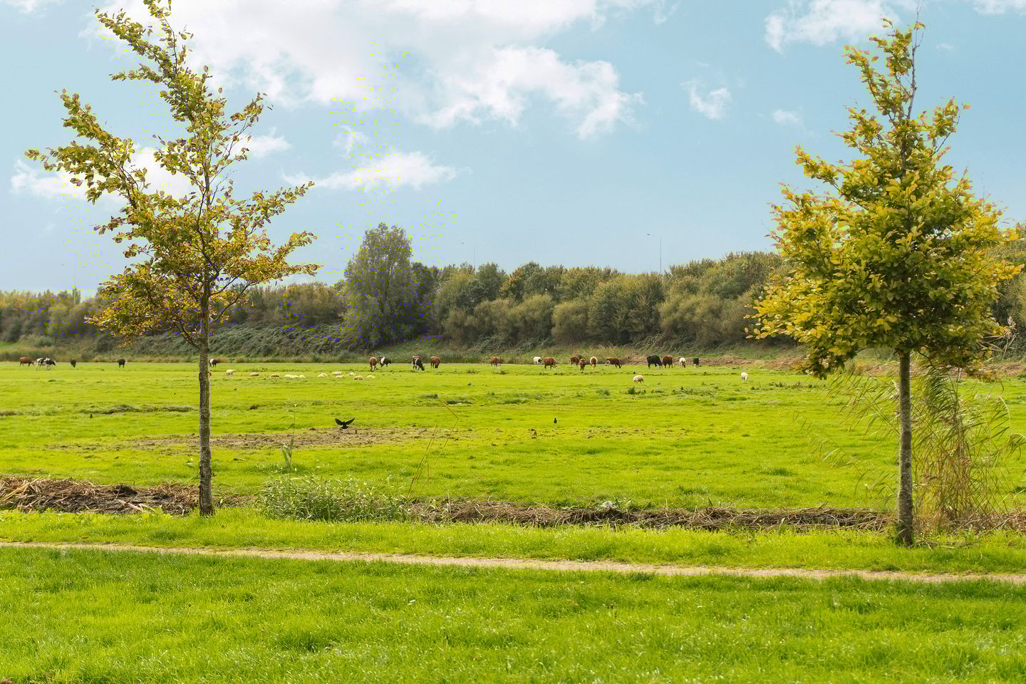 Foto 64 van Omloop 5