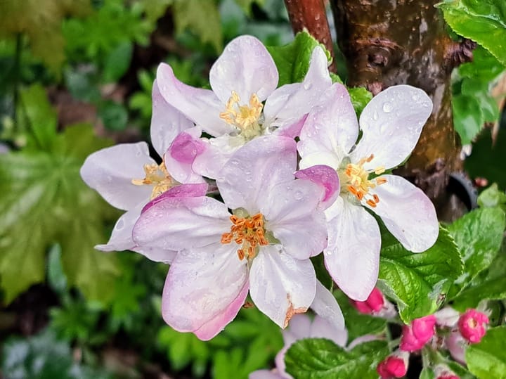 Foto 32 van Vestingwal 47-B